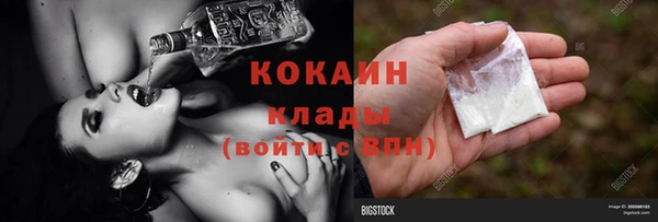 молекула духа Алексин