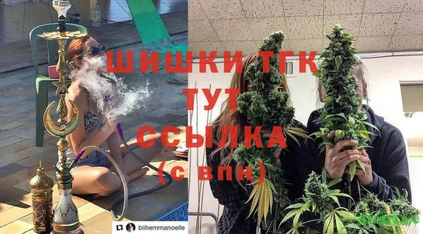 бошки Алзамай