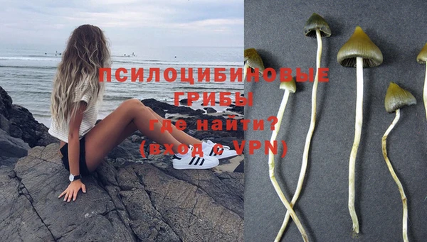 амф Абдулино